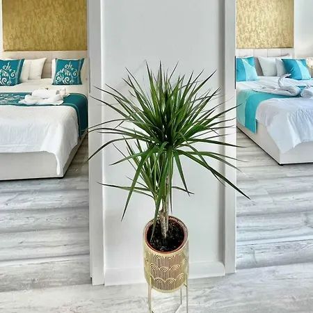 In Siofok - Balaton 54884 Апартаменты Балатонсабади